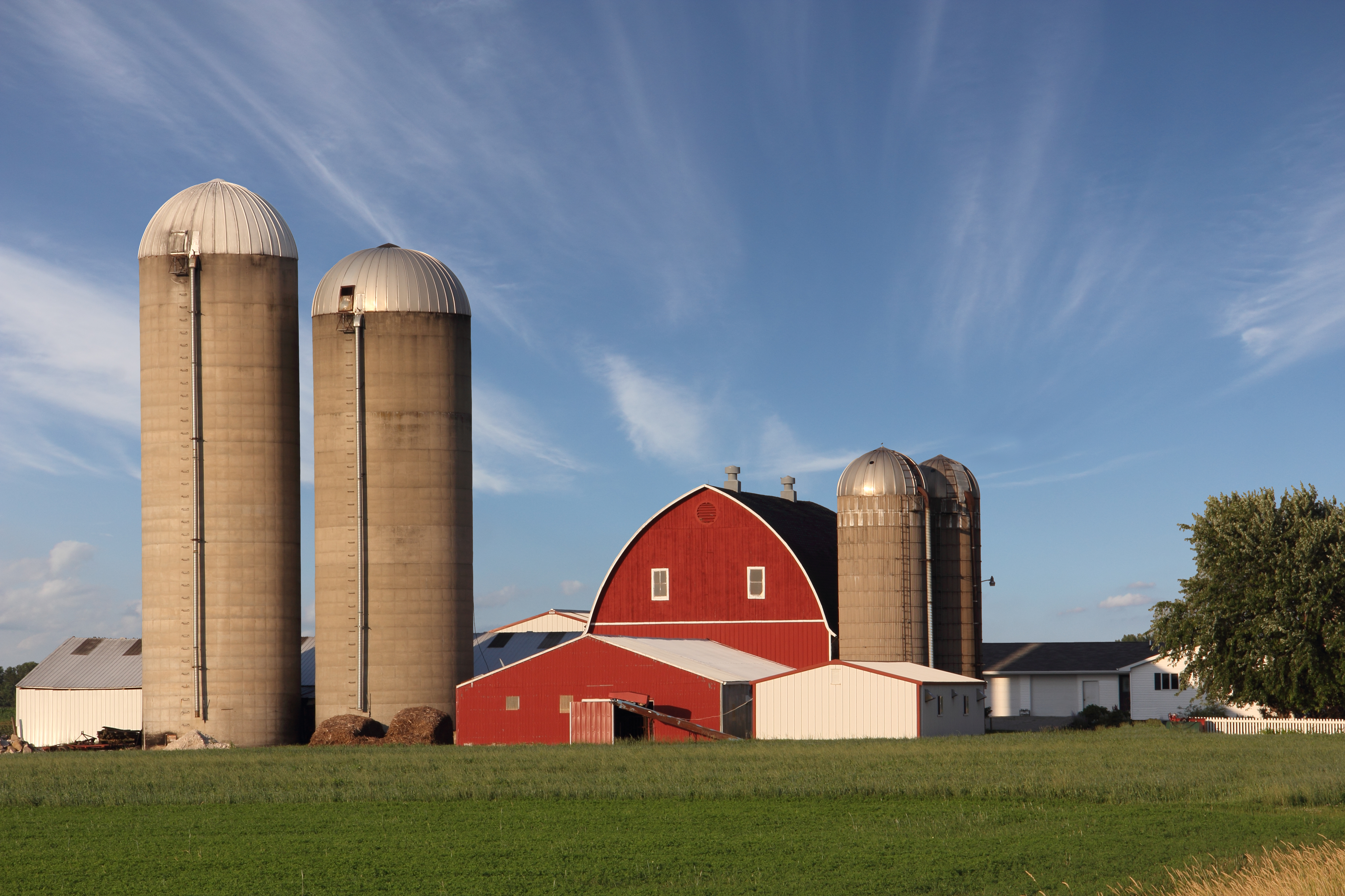 grain silo farm