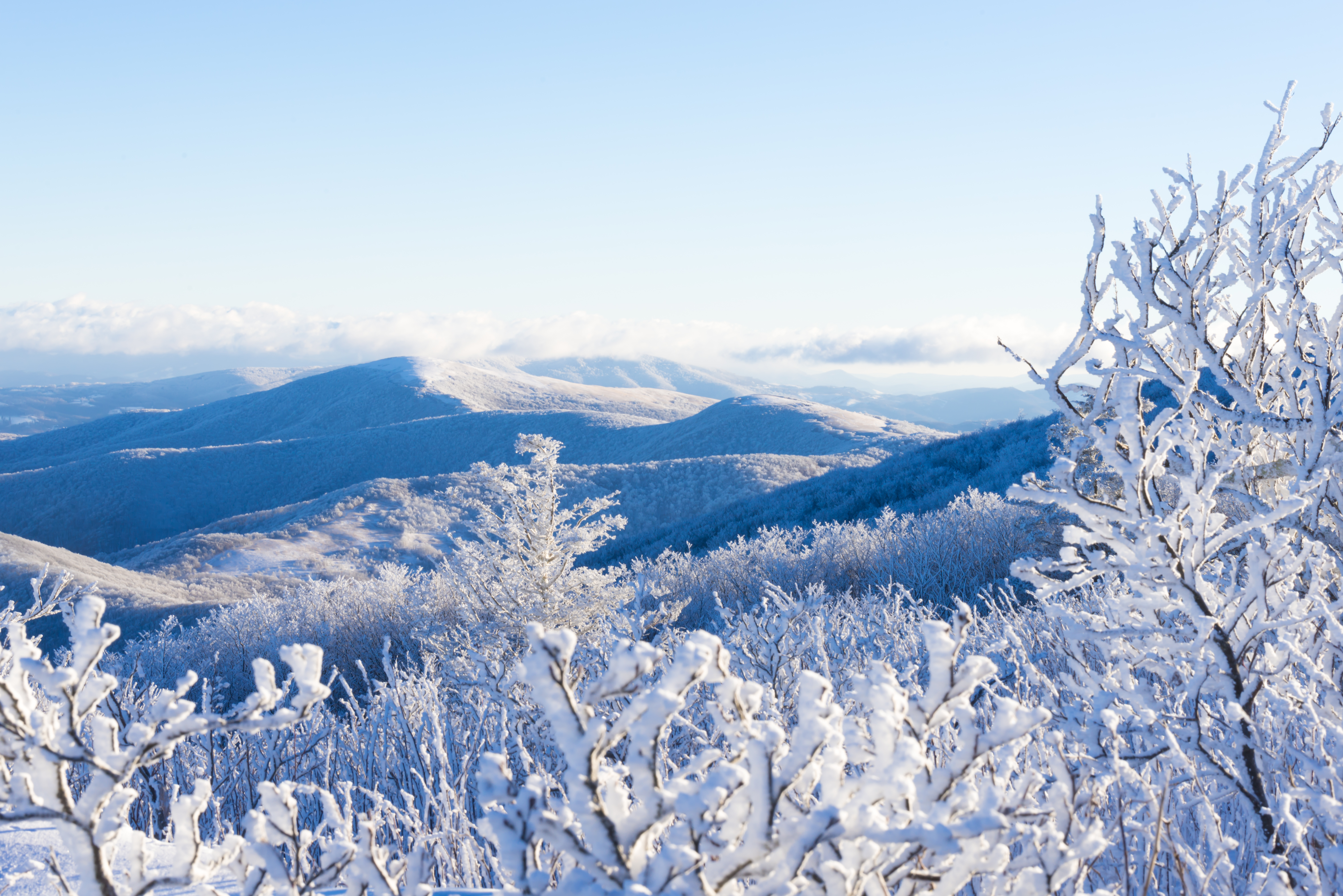 It's a snowy day in East Tennessee! As long as snow is falling at