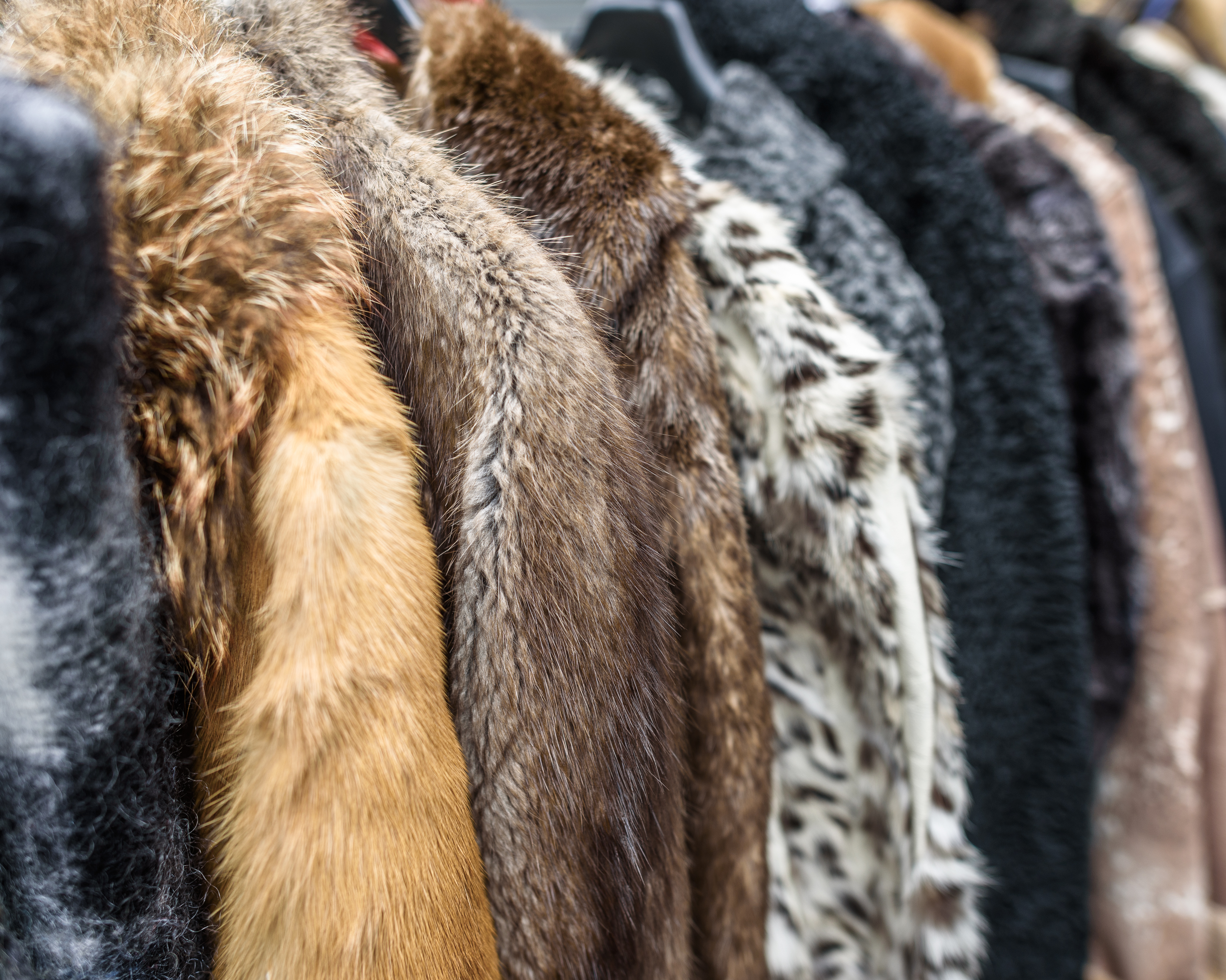 used fur coats