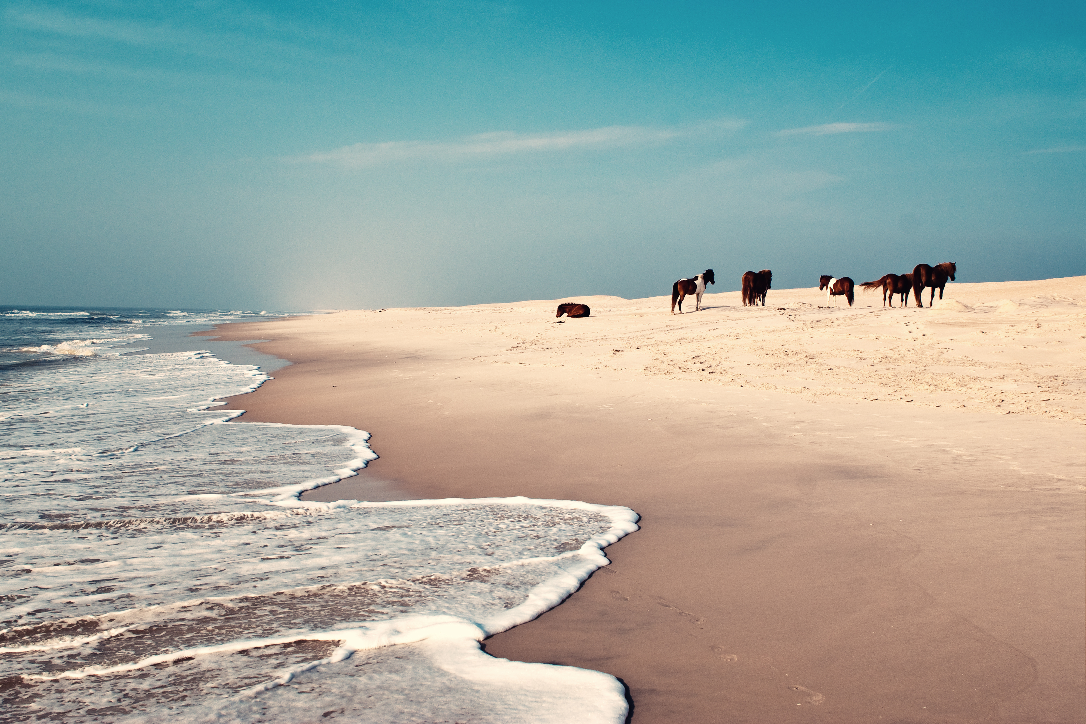 Assateague Island Surf Fishing