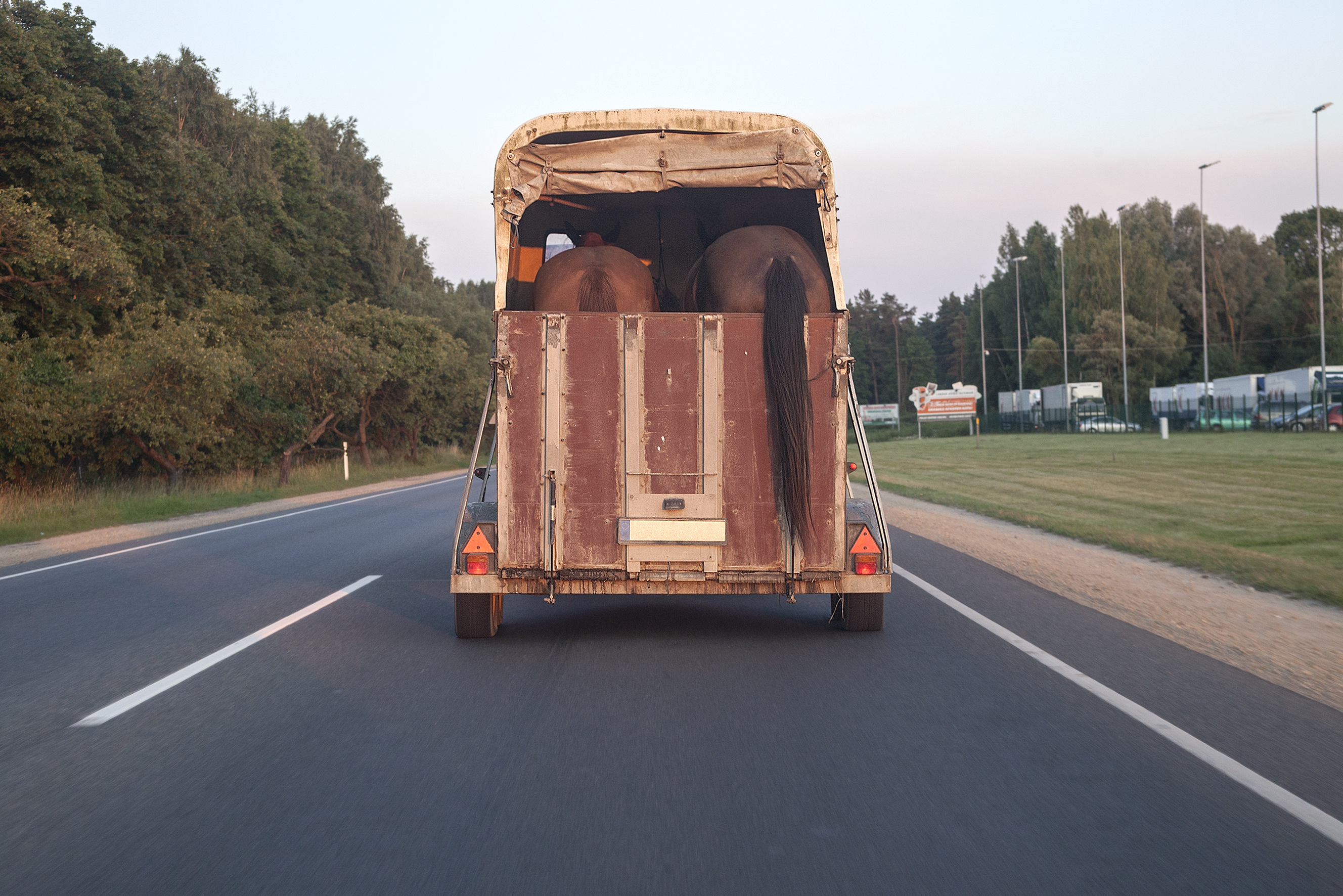 transporting pets in towed car