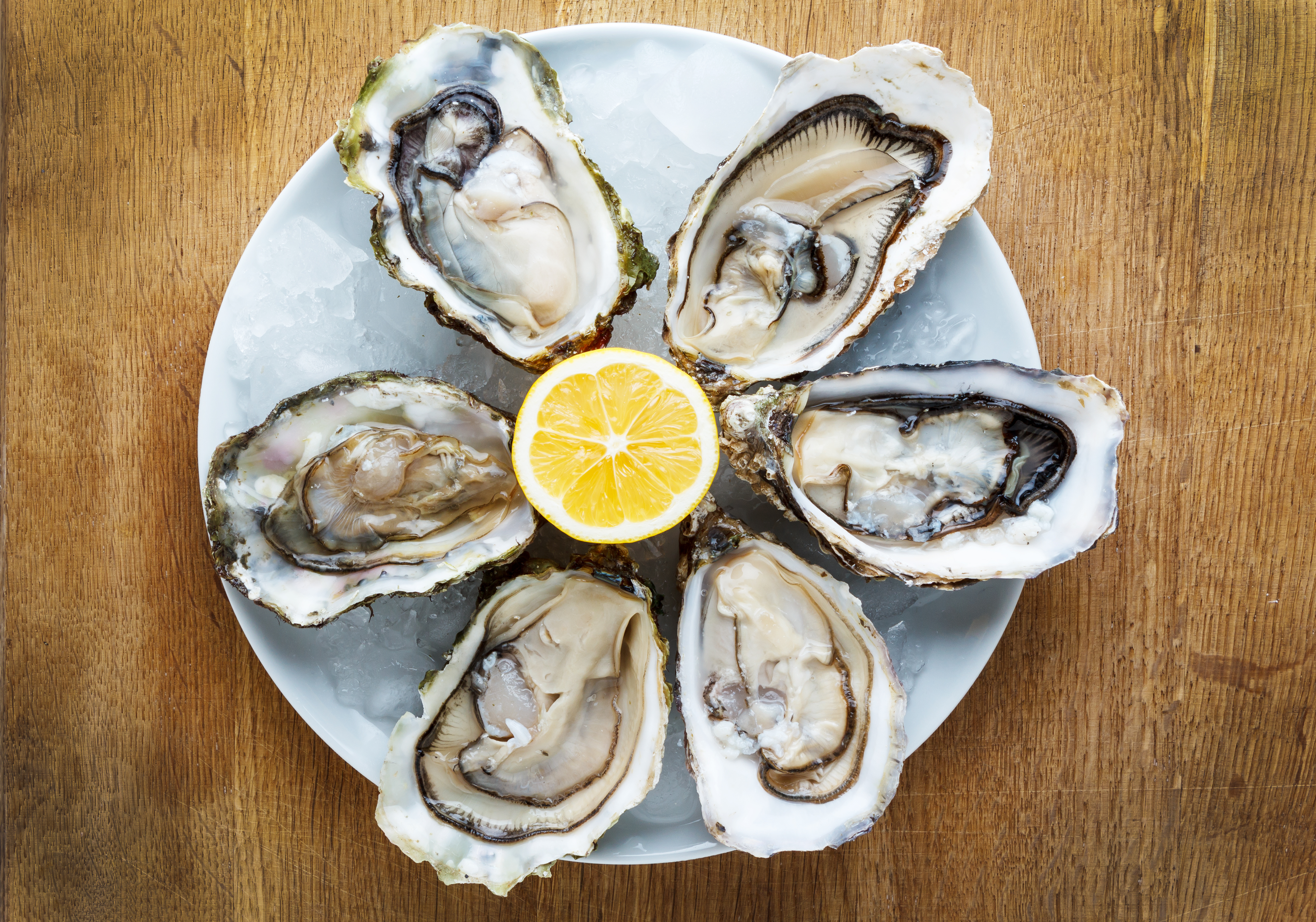 How To Freeze Fresh Oysters