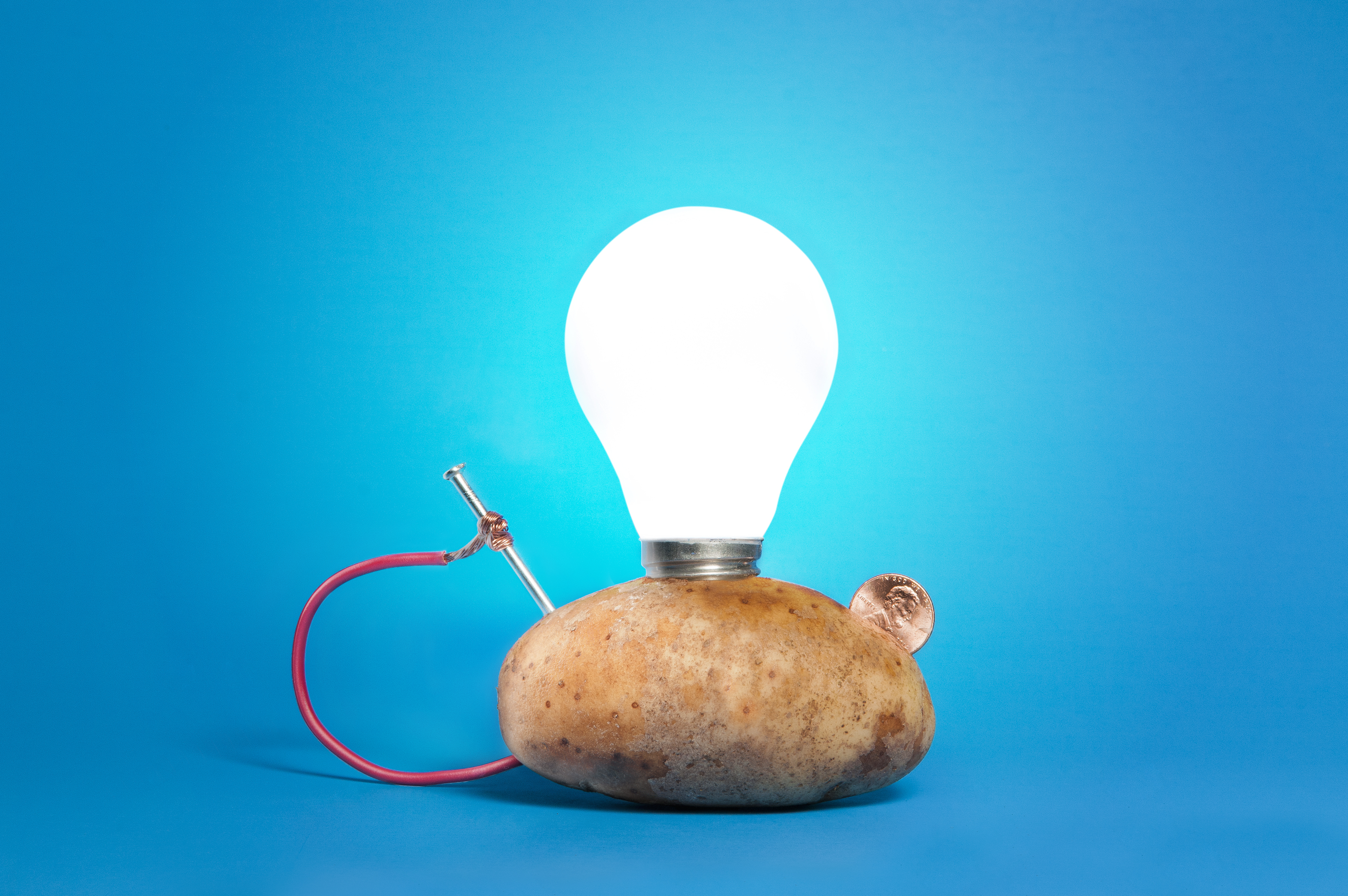 Potato Light Bulb Experiment for Kids Sciencing