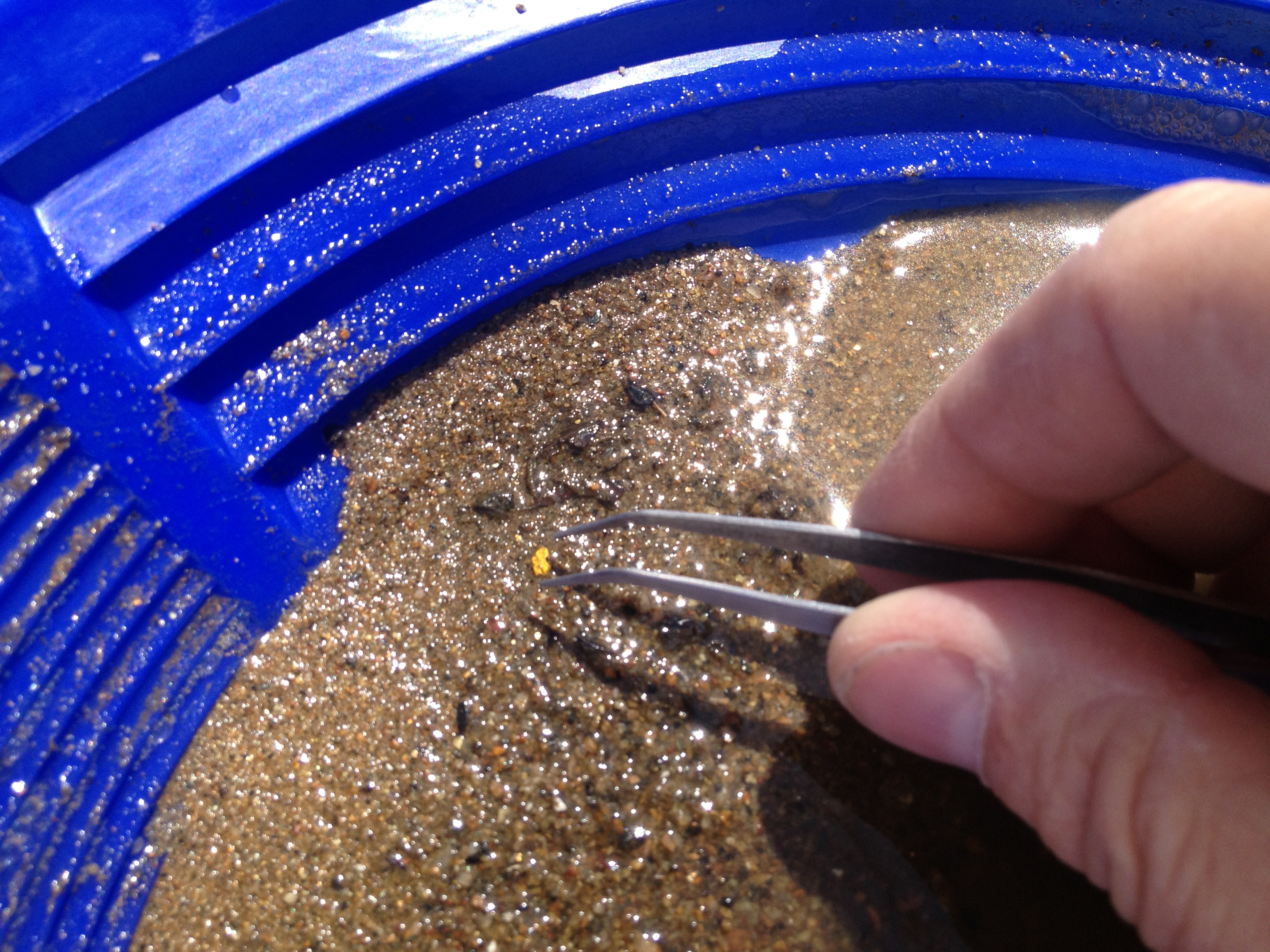 Gold panning facts When you pan for gold you just cant find gold you can  only find flacks of gold. You cant find gold just like that The concept of  gold. 