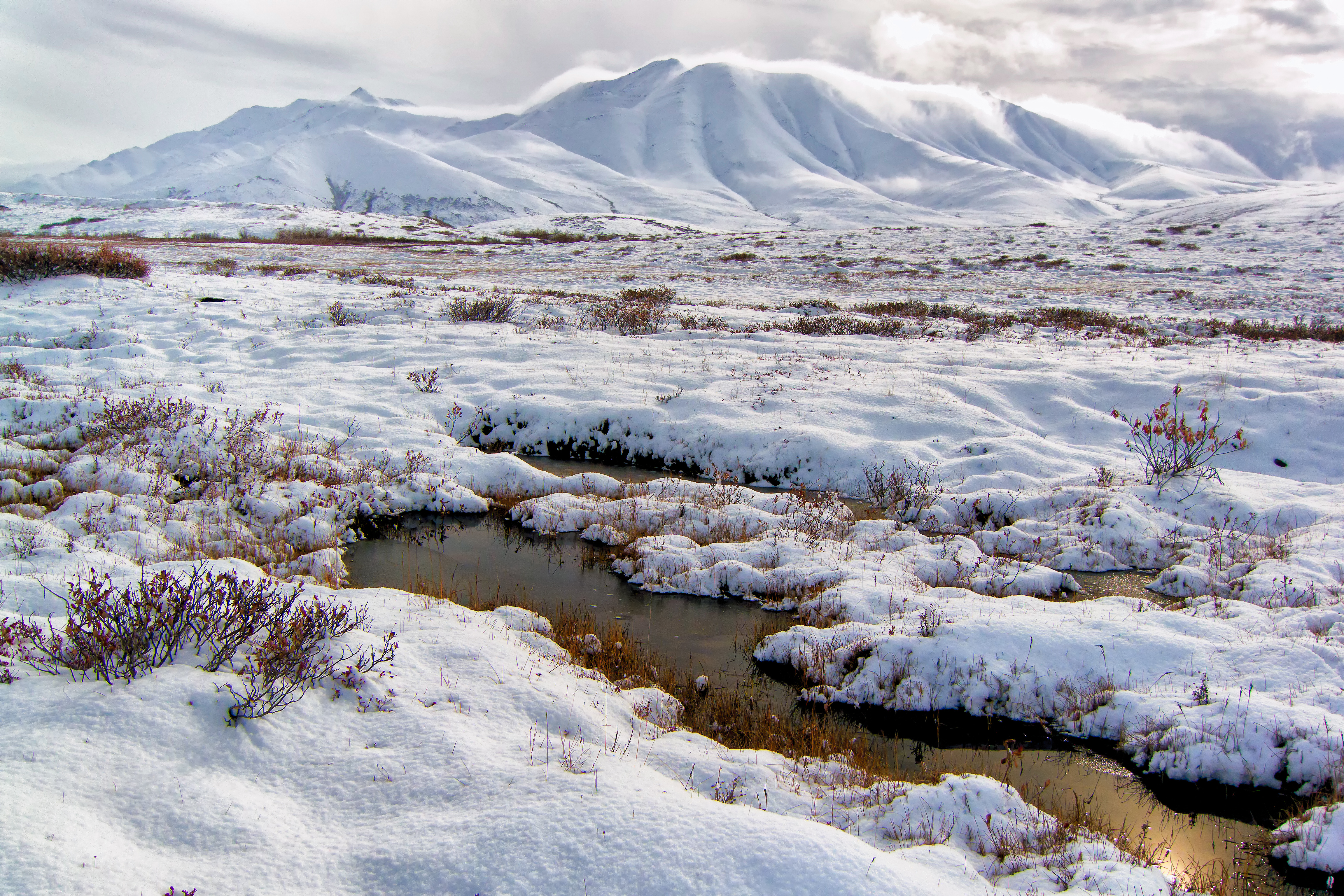 arctic tundra layers of soil