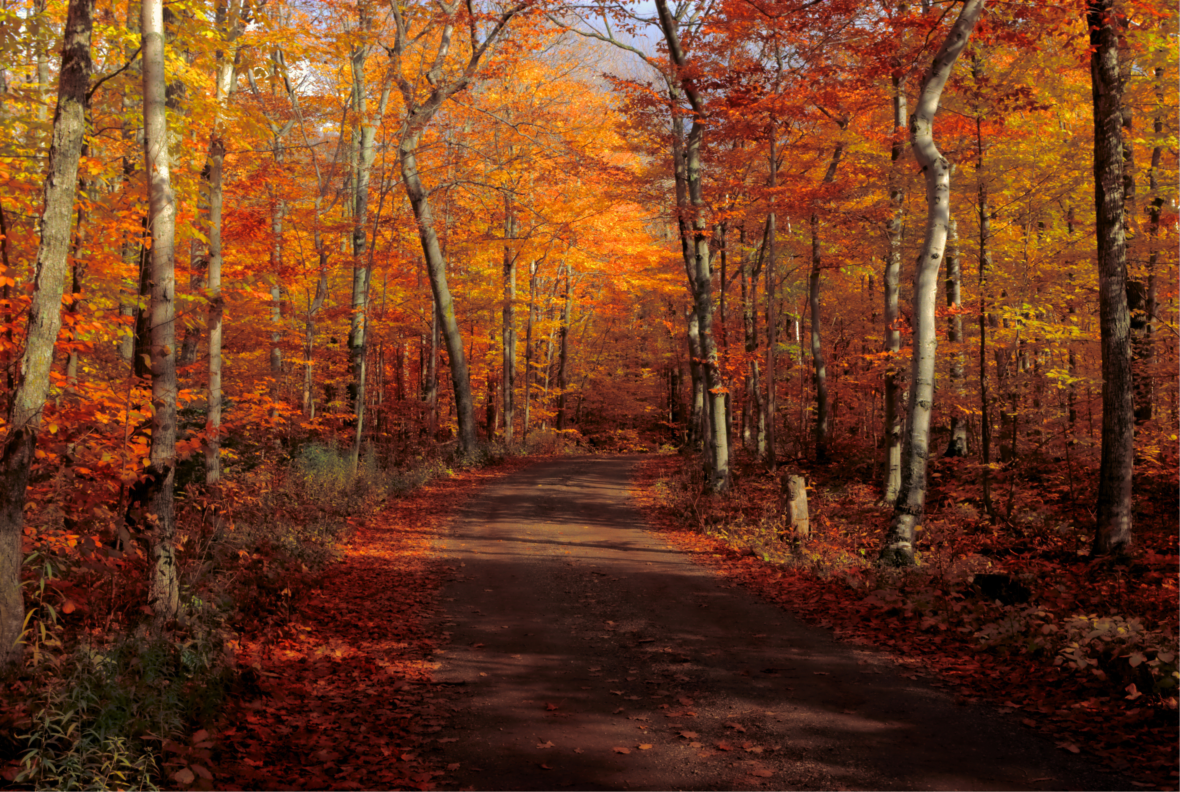 How To See Fall Colors In Door County