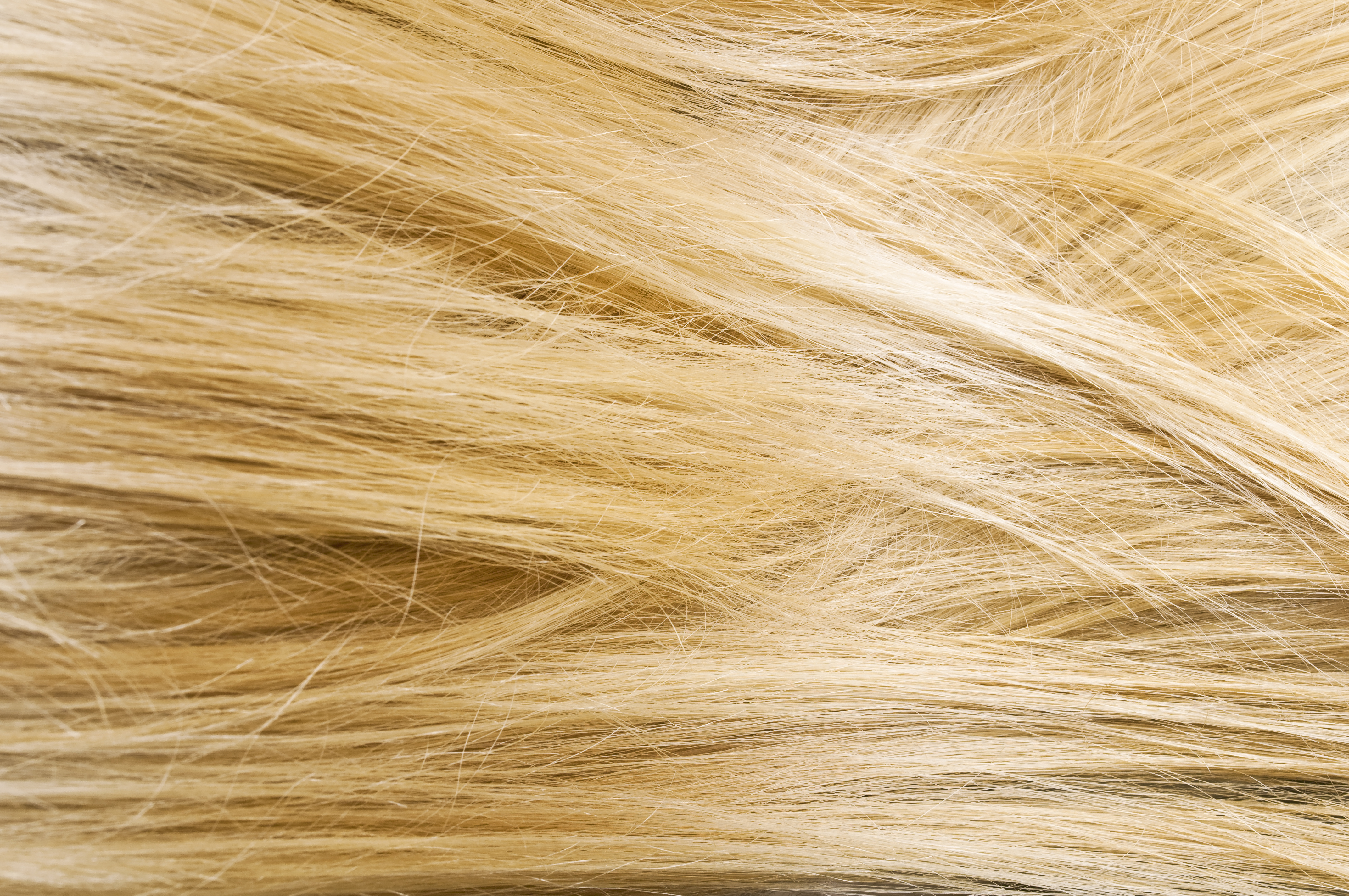 How To Apply Toner To Bleached Hair Leaftv