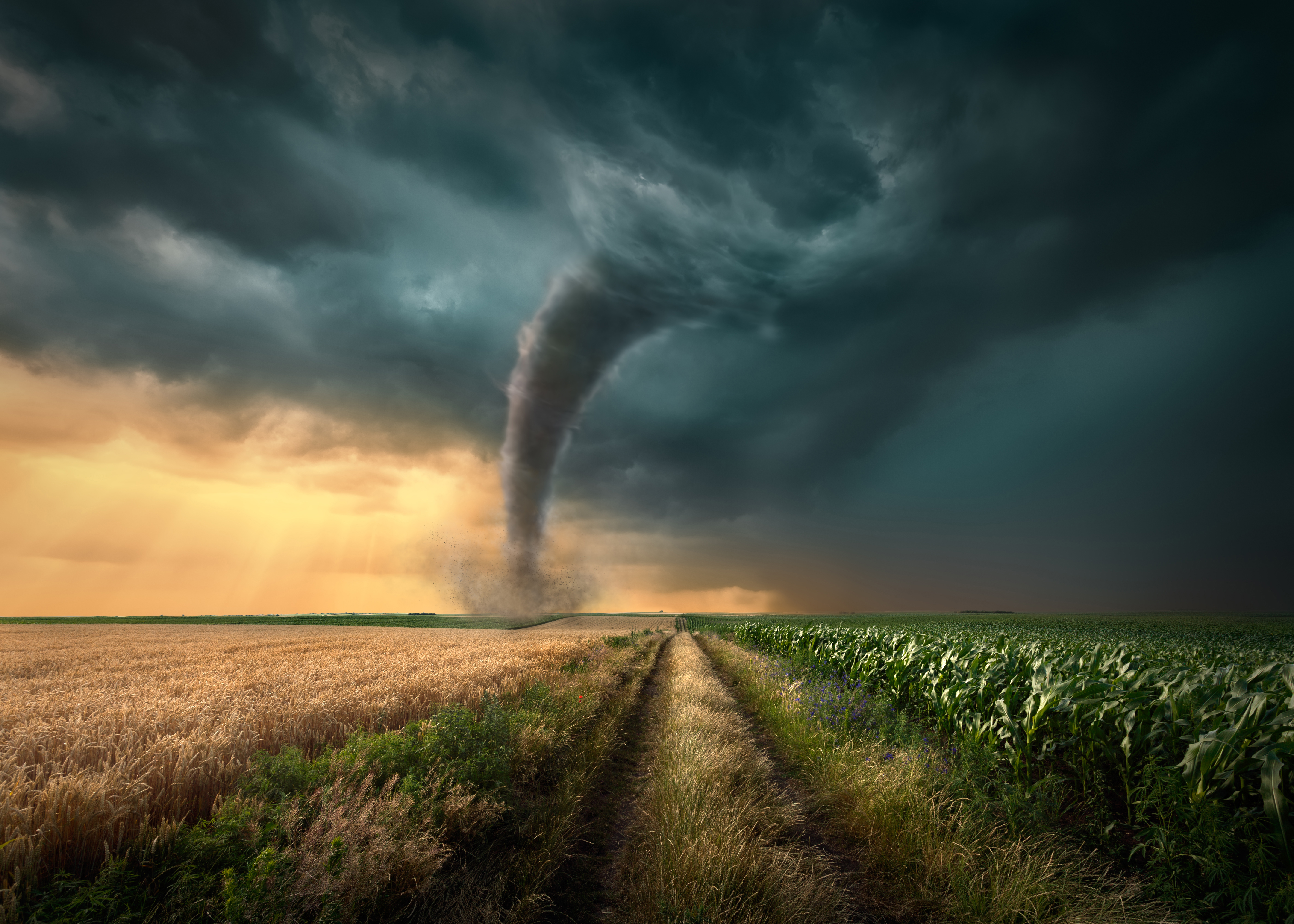what-is-the-average-salary-of-storm-chasers
