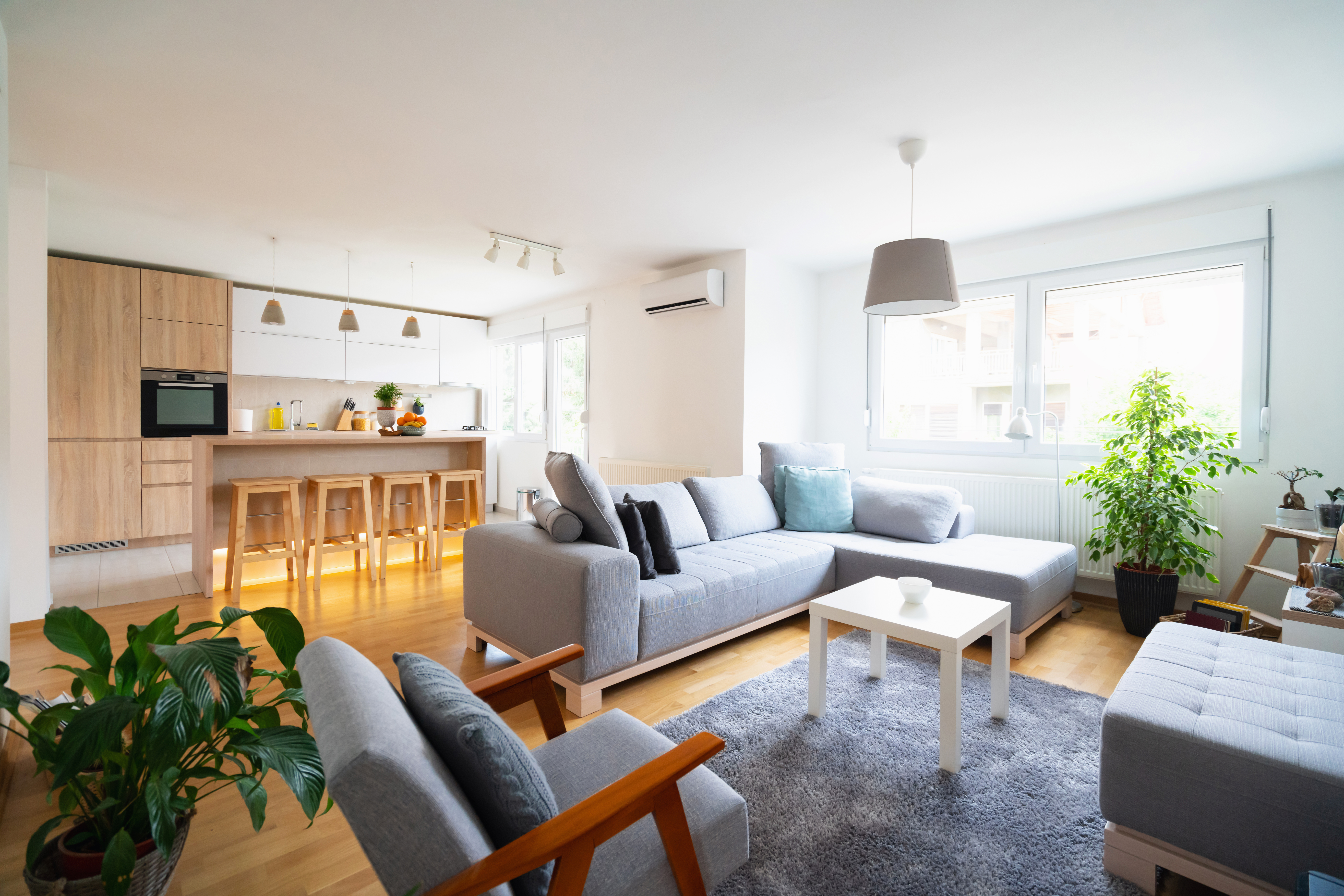 How To Kill Mold On A Wood Subfloor Hunker