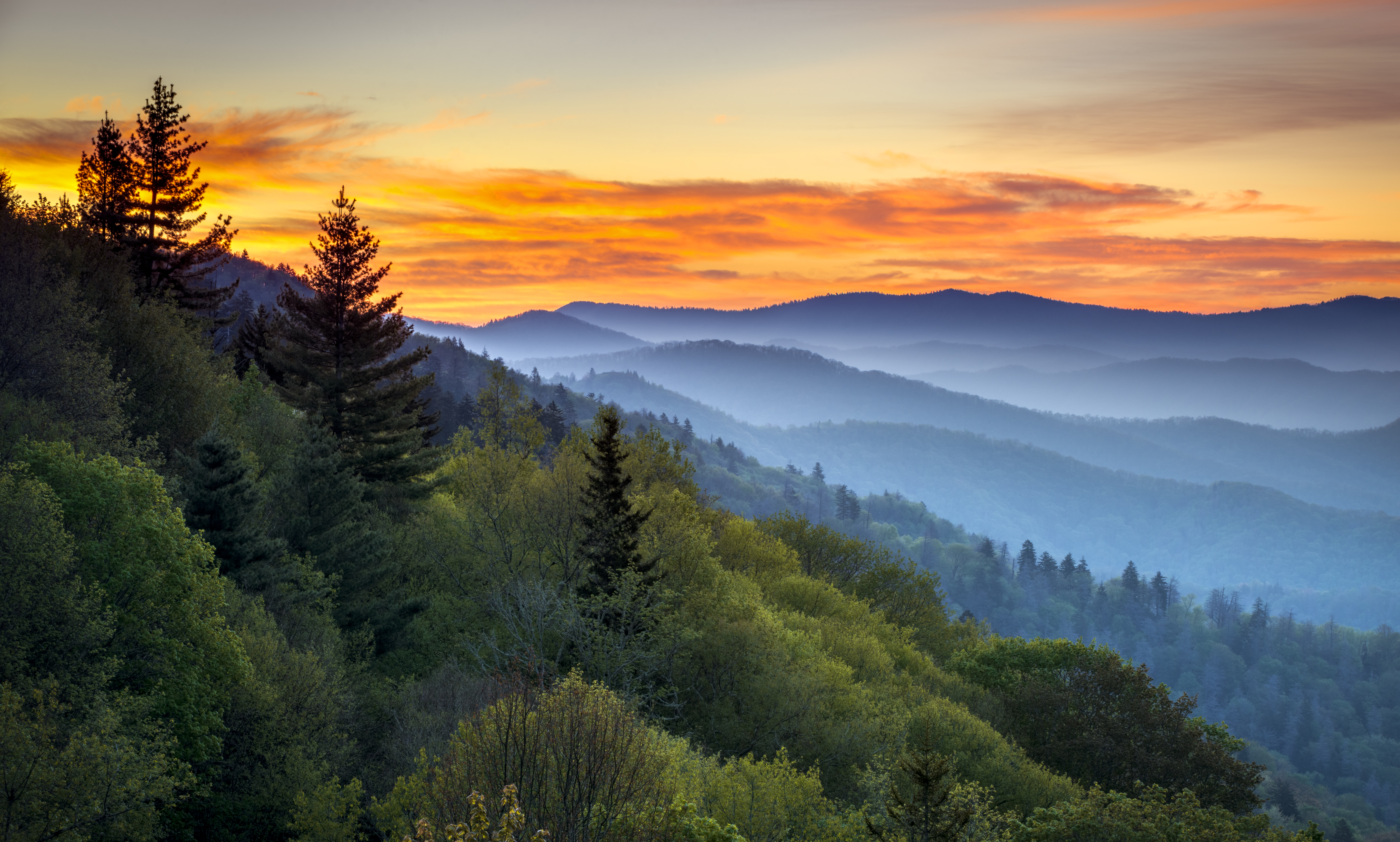 Year Round Campgrounds In Gatlinburg Tennessee