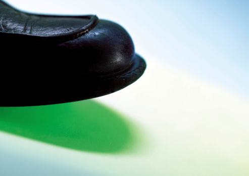 bass shoe shine sponge