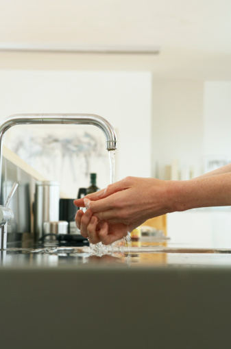 Bissell PowerSteamer Deluxe 