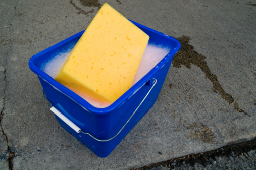 Things that absorb water