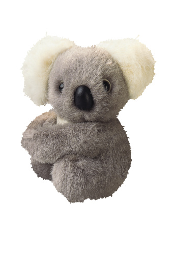 can you donate stuffed animals to salvation army