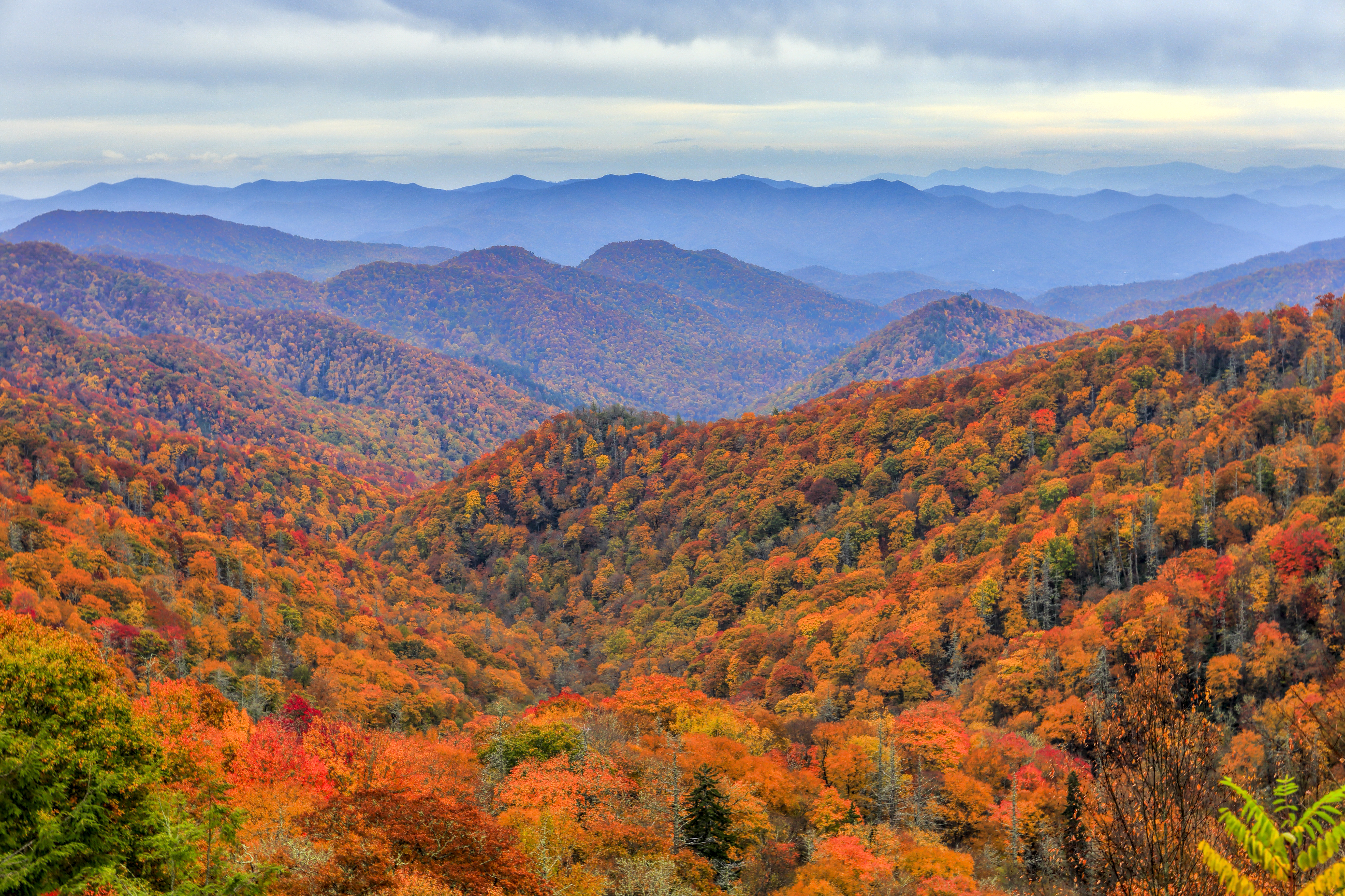 Great Smoky Mountains National Park Rustic Cabins