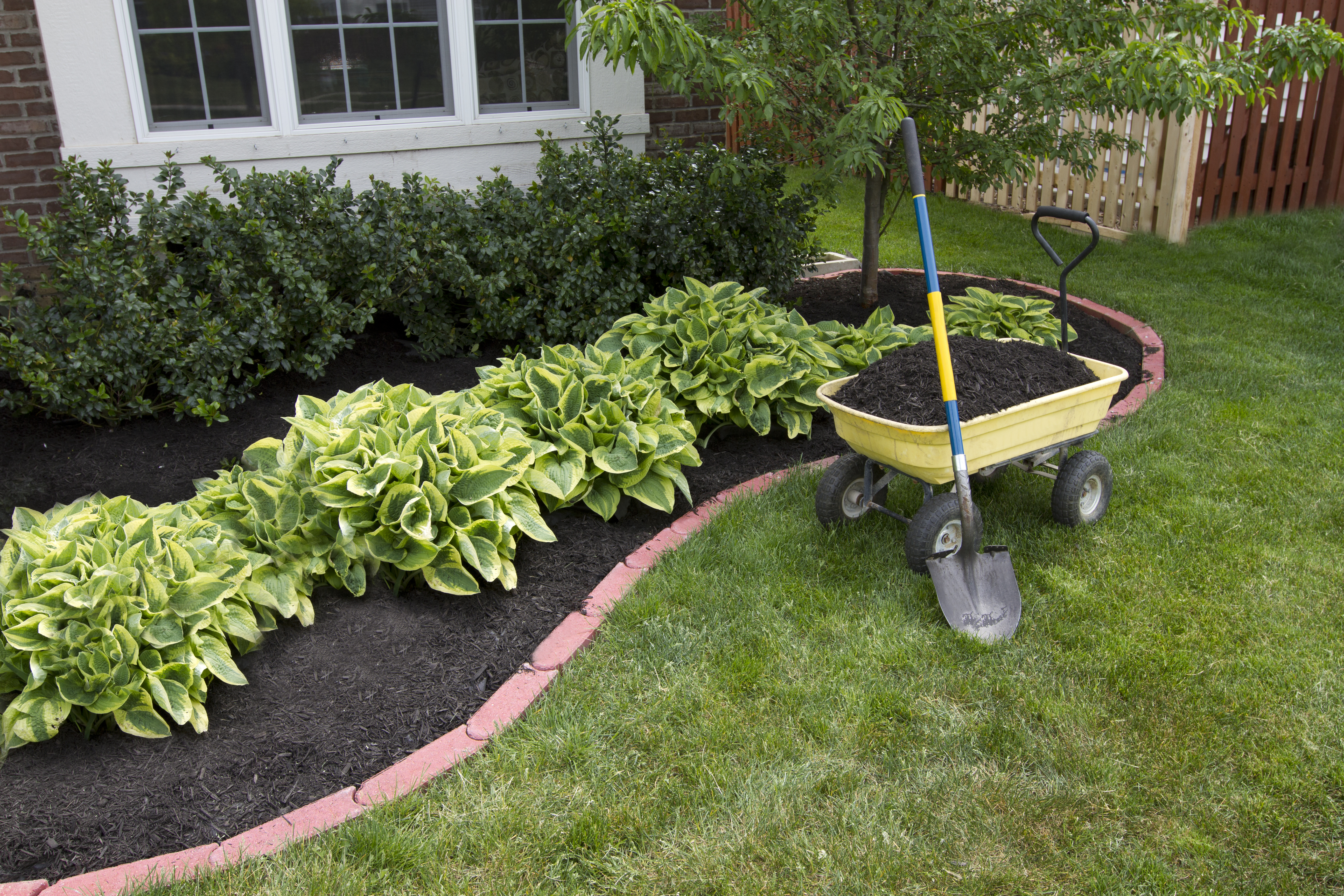 Should I Buy Topsoil Or Potting Soil For My Flower Vegetable Garden Home Guides Sf Gate