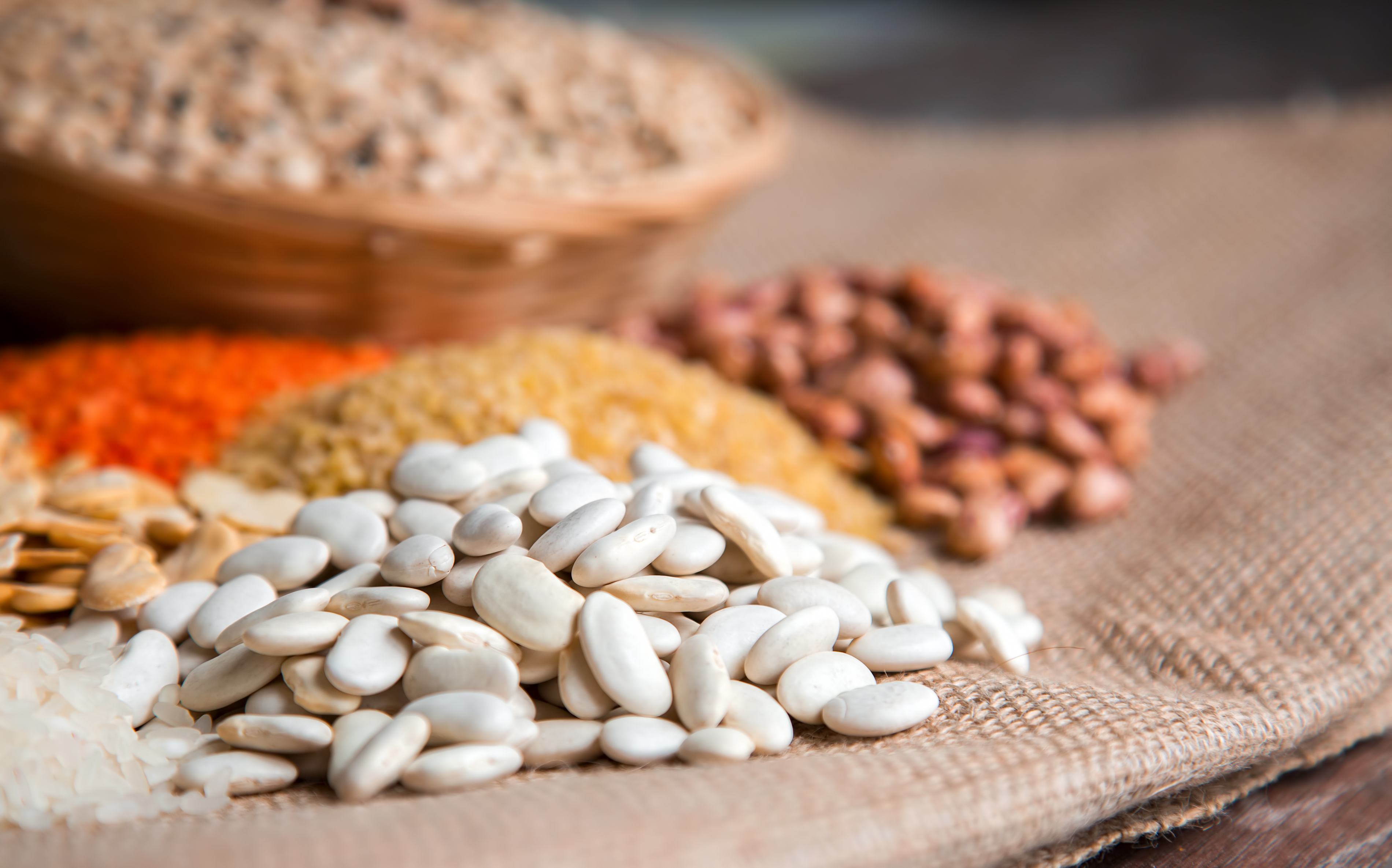 How To Get Protein Levels Up For Plasma Donations How To Get Protein Levels Up For Plasma Donations