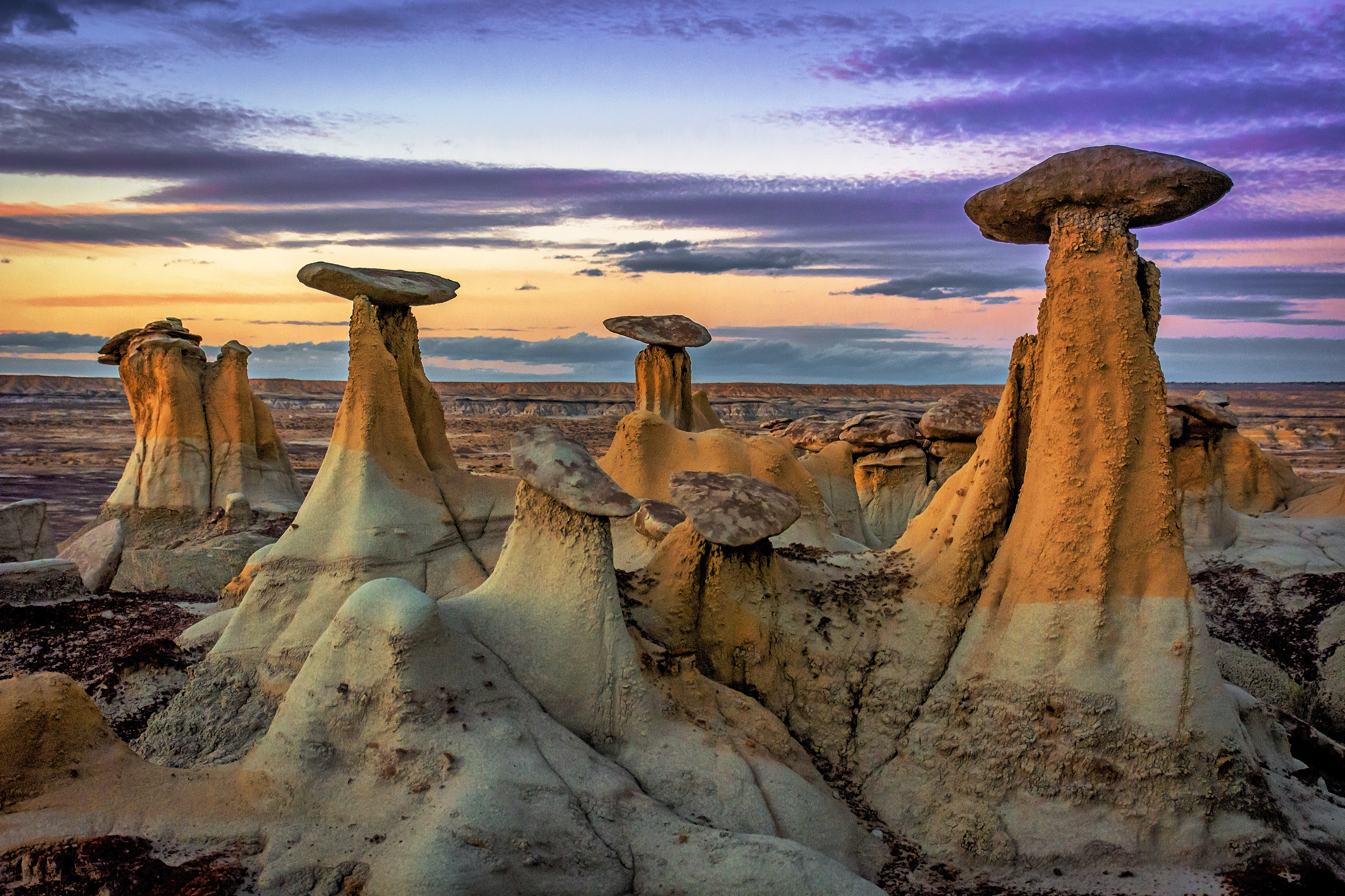 does badlands national park allow dogs