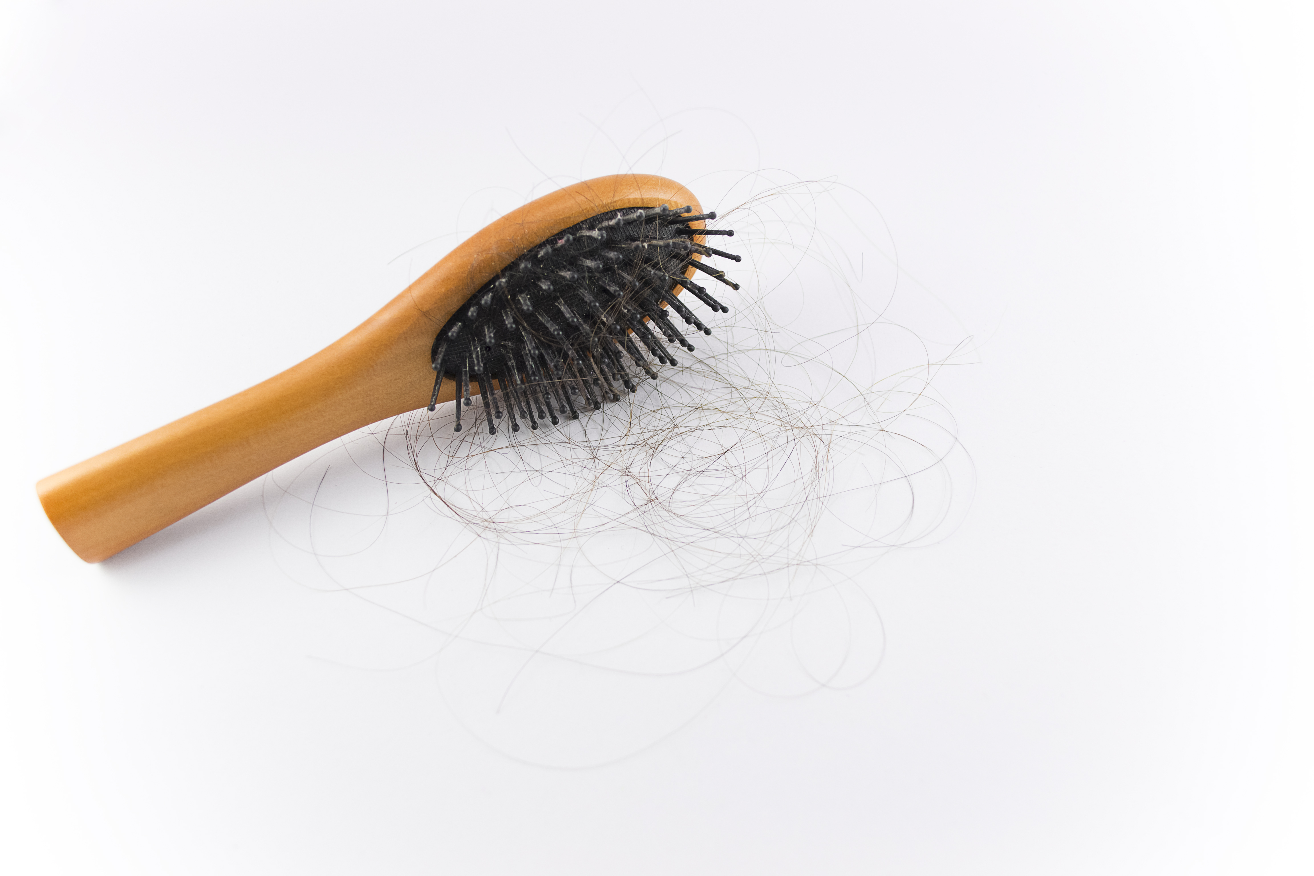 hair in brush