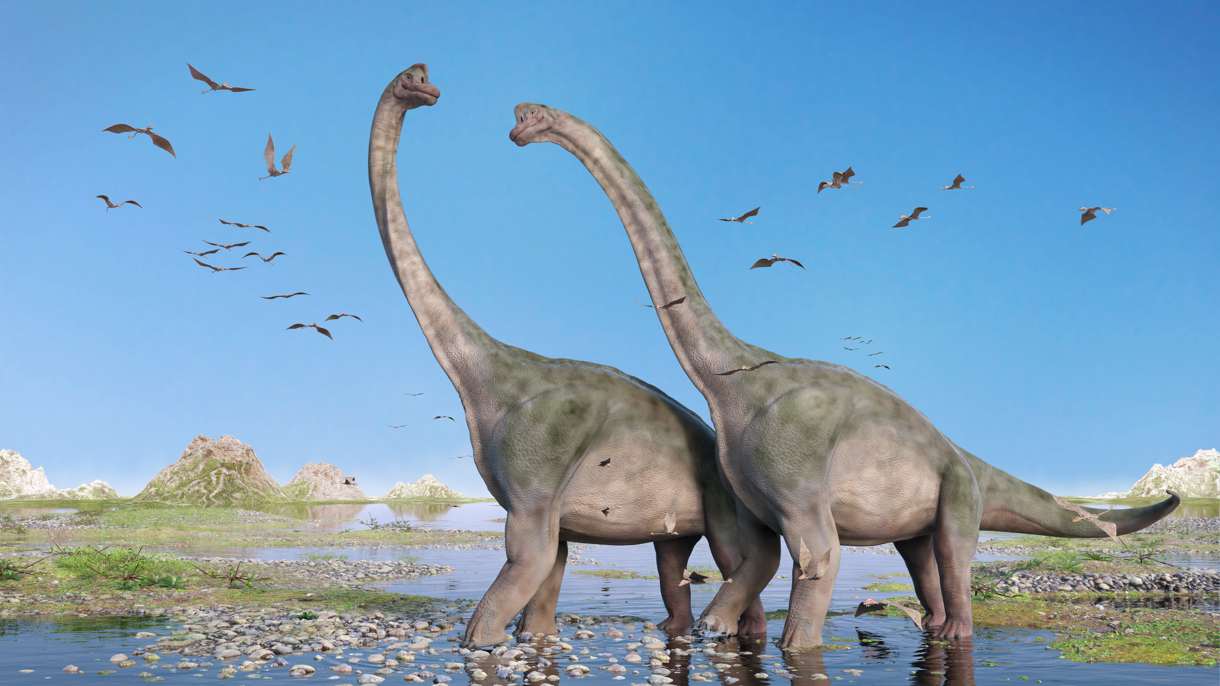 what is the biggest long neck dinosaur