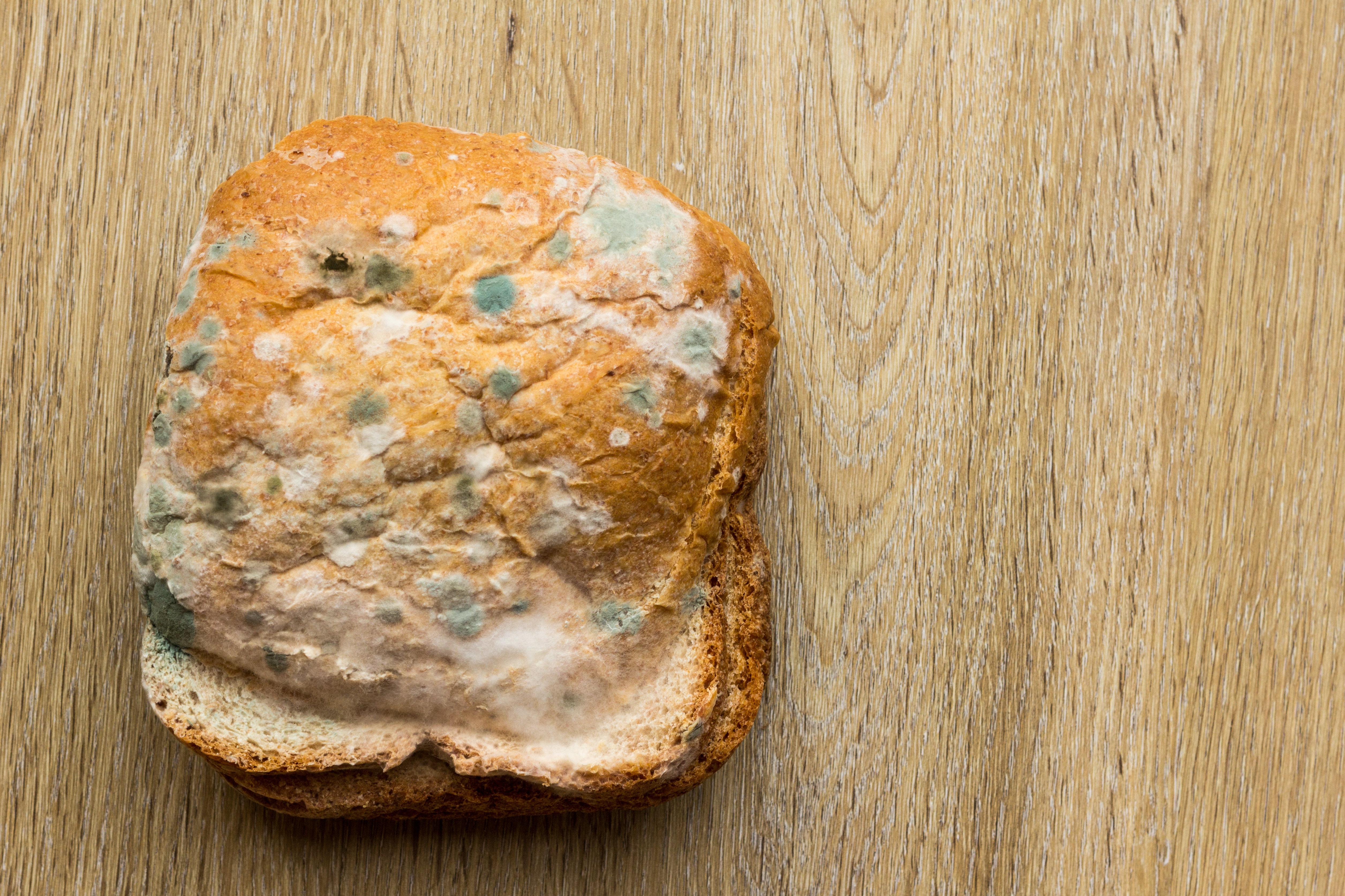 What Happens If You Eat Moldy Bread? Here's What You Should Know