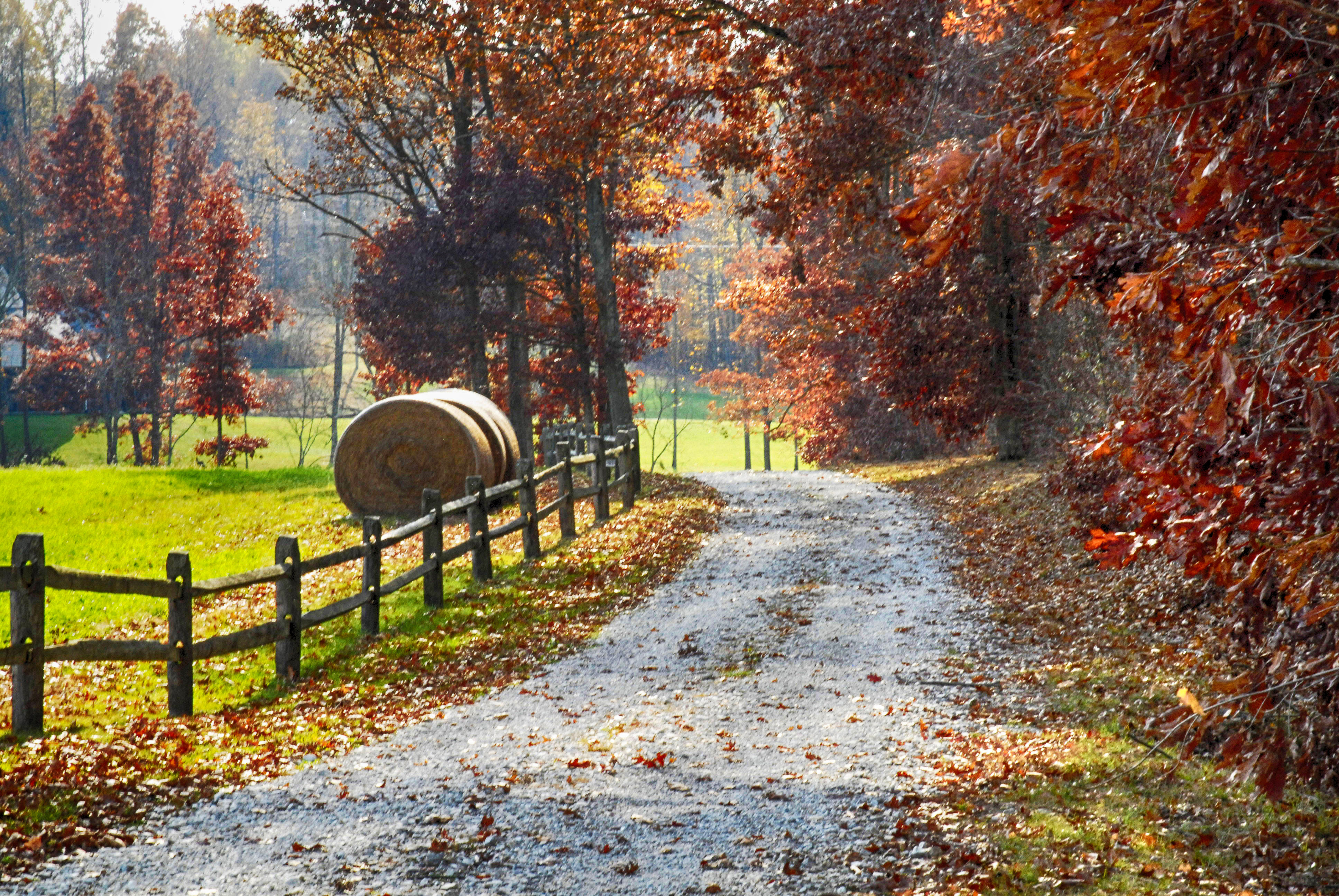 About the Weather in Charlotte, North Carolina