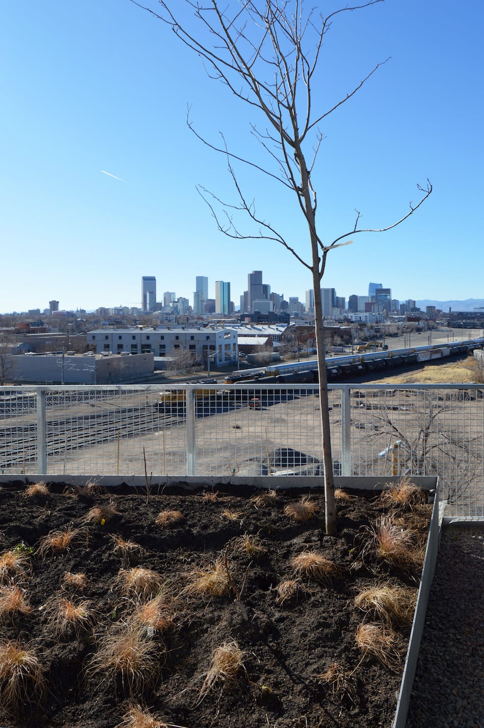 Green roofs
