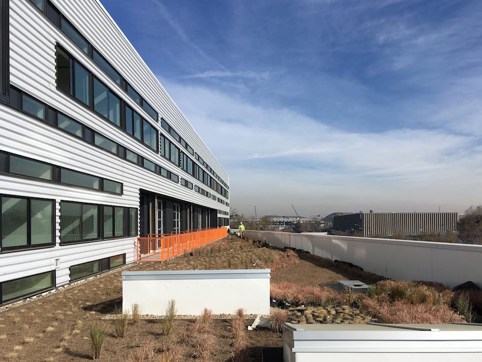 Green roofs