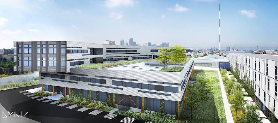 Green roofs