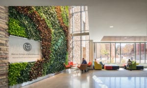 csu living wall