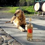 Tres Sabores Rose