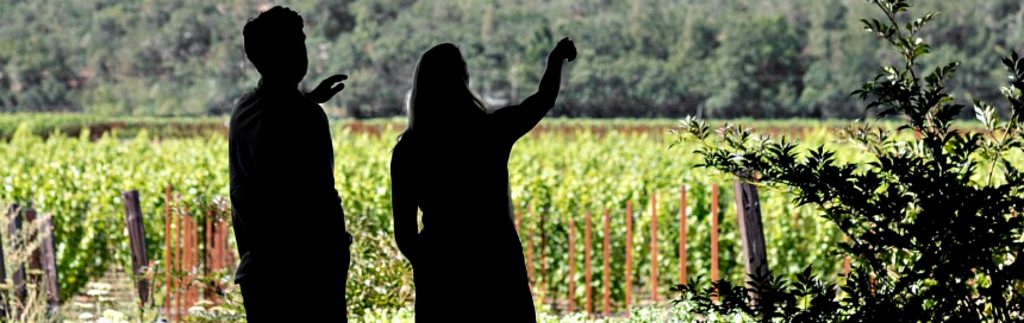 Wine Tasting Guide from Dan Dawson's Wine Advisor