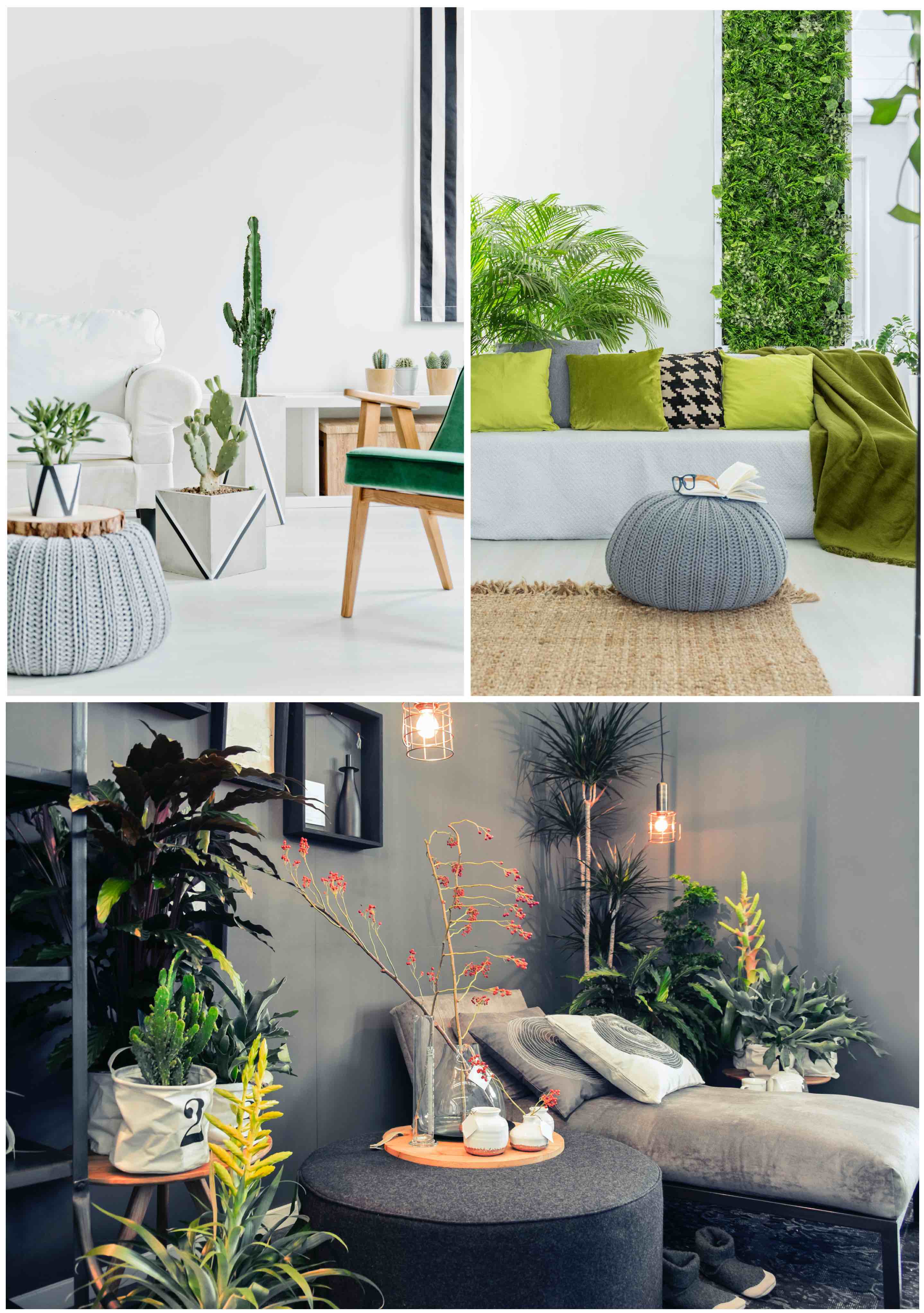 Interior Design Tip 2: Use plants to decorating your room