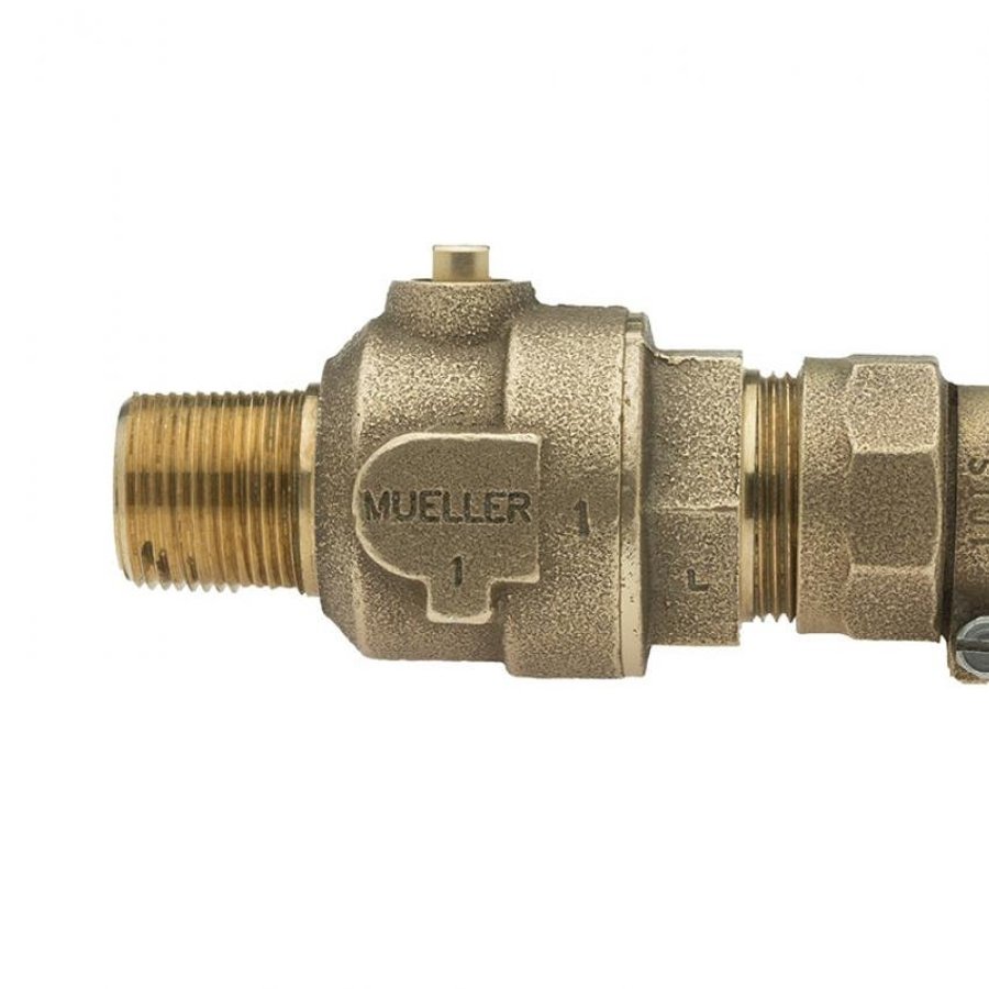 PACE Supply | P-25028N Ball Corporation Stop, 2 in, MNPT x CTS
