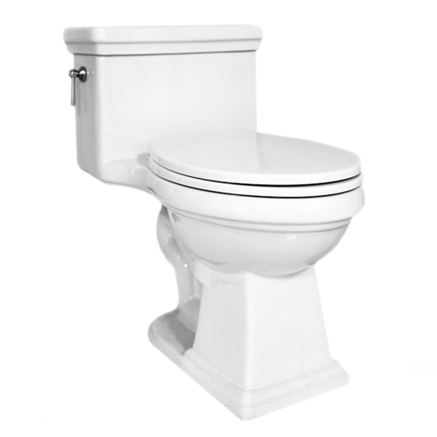 AXEW5302020.jpg