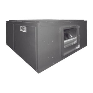 image 1 main