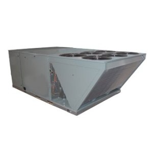 Image 1 Main