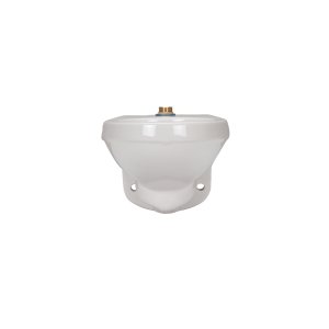 PACE Supply | Zurn One® Toilet Bowl, ADA, Wall Mount, Elongated, White