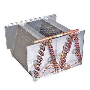 Image 1 Main