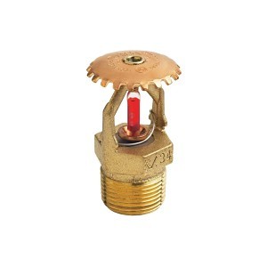 image 1 main