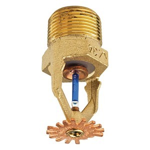 image 1 main