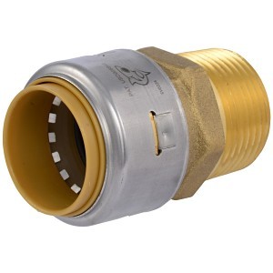 image 1 main