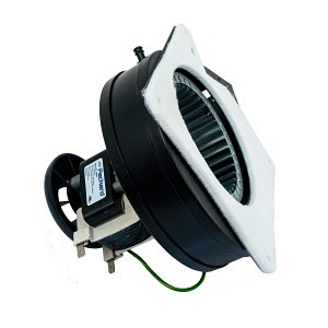 image 1 main