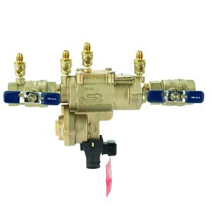 image 1 main