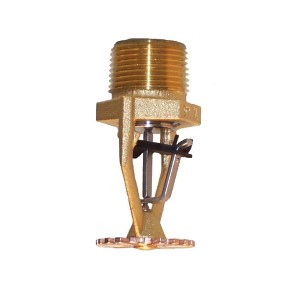image 1 main