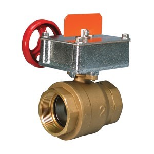 image 1 main