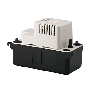 image 1 main