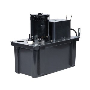image 1 main