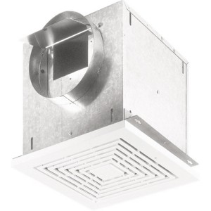 image 1 main