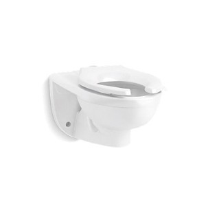 image 1 main